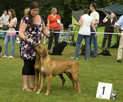 Couple class Almelo