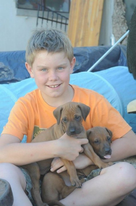 Mick and puppies from Sara V.