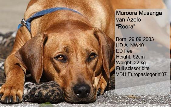 Roora info
